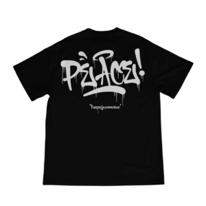 CAMISETA OVERSIZED "GENÊSIS 43:23"