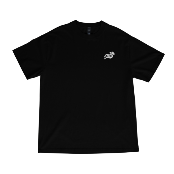 CAMISETA OVERSIZED "GENÊSIS 19:26" - Imagem 2